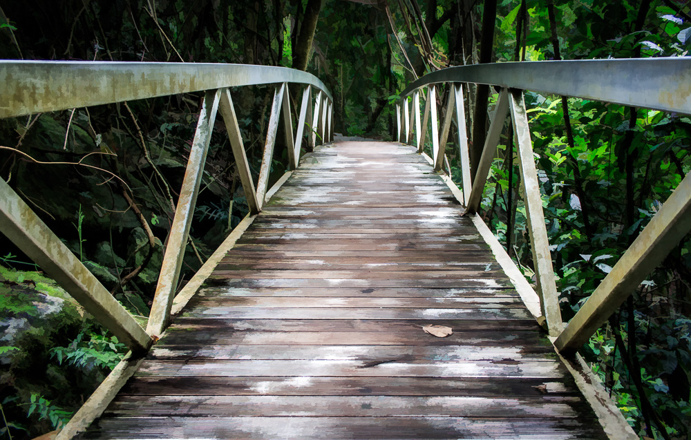 Bridge into the Rainforest Gold Coast