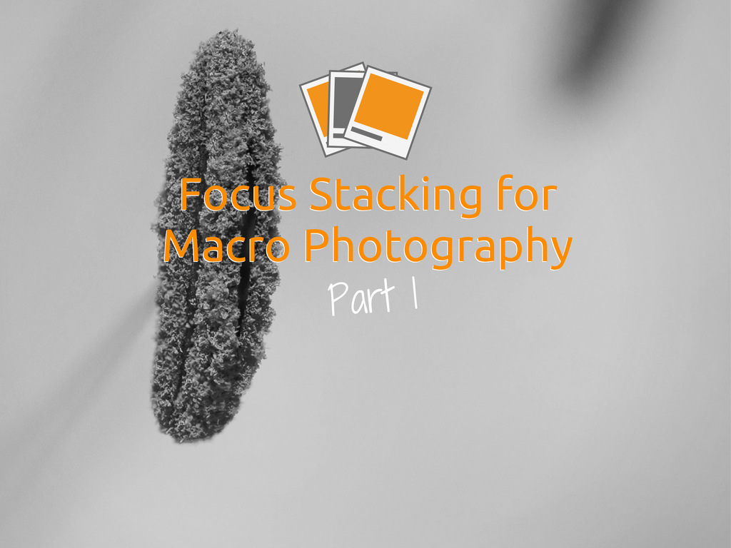 Focus Stacking for Macro Photography – Part 1