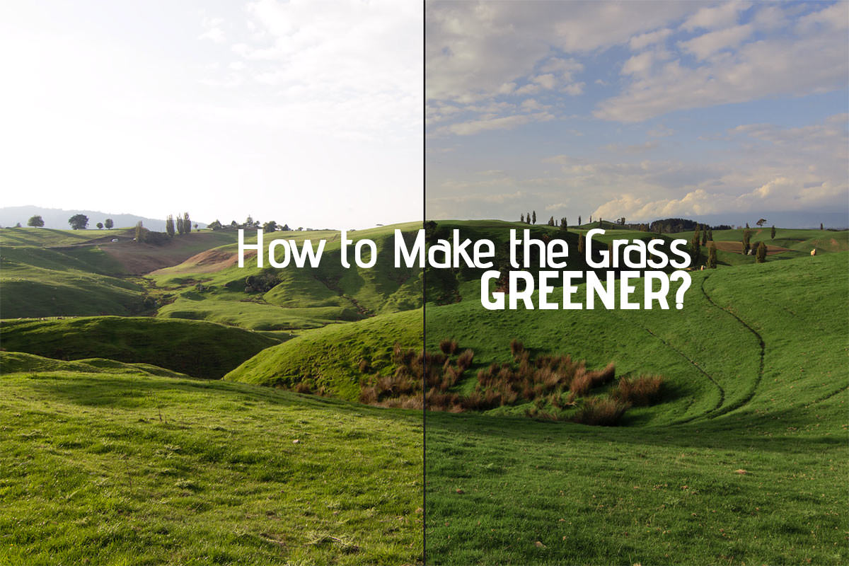How to make the Grass Greener in Lightroom