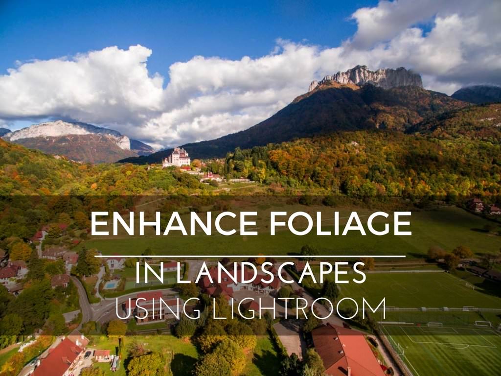 Enhance Foliage in Landscapes using Lightroom